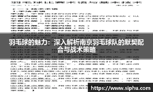 羽毛球的魅力：深入解析南京羽毛球队的默契配合与战术策略