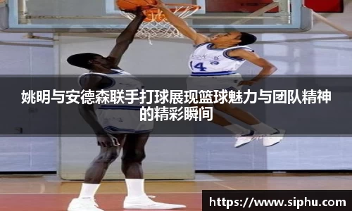 必一体育