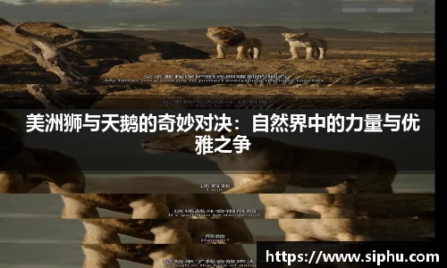 必一运动