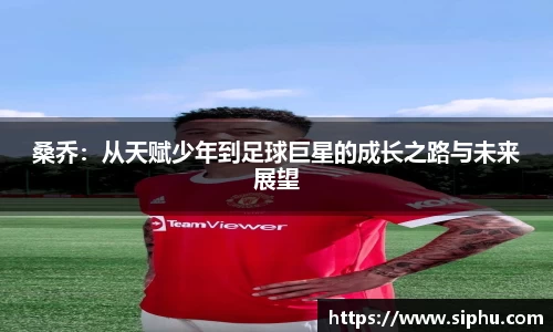桑乔：从天赋少年到足球巨星的成长之路与未来展望