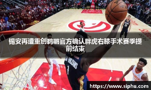 锡安再遭重创鹈鹕官方确认胖虎右膝手术赛季提前结束